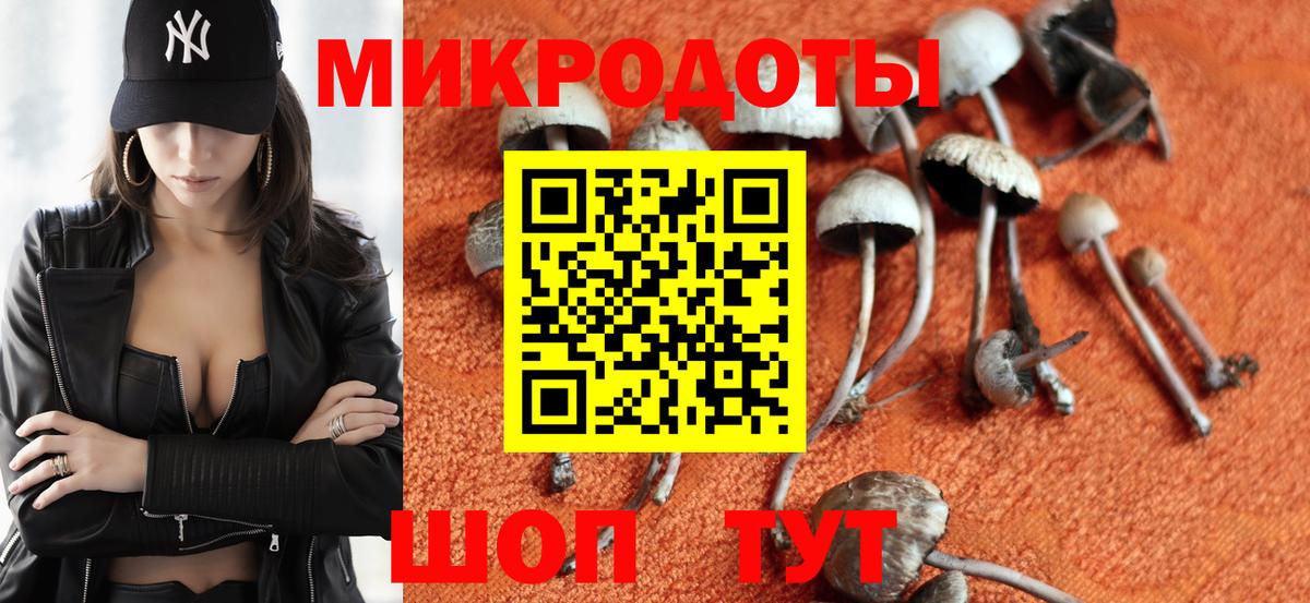 Псилоцибиновые грибы Psilocybine cubensis Приморско-Ахтарск